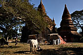 Bagan Myanmar. Temples near the Minochantha Stupa. 